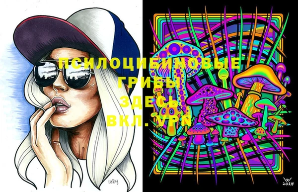 стафф Пролетарск