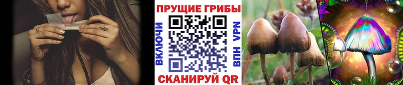 mega как войти  Буинск  Псилоцибиновые грибы GOLDEN TEACHER 