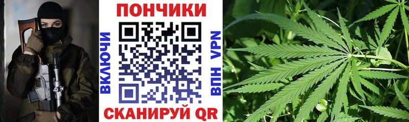 Марихуана Amnesia Буинск